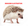 RESERVA Ouriço Pigmeu (Hedgehog)